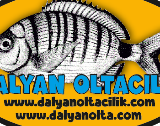 Surf Casting Teknikleri,Sahilden Balık Avlama,Surf Olta Takımı,Uzak Atış Teknikleri,Surf Casting Makineleri,Surf Olta Kurulumu,En İyi Surf Casting Kamışı,