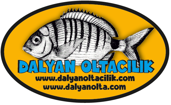 Surf Casting Teknikleri,Sahilden Balık Avlama,Surf Olta Takımı,Uzak Atış Teknikleri,Surf Casting Makineleri,Surf Olta Kurulumu,En İyi Surf Casting Kamışı,