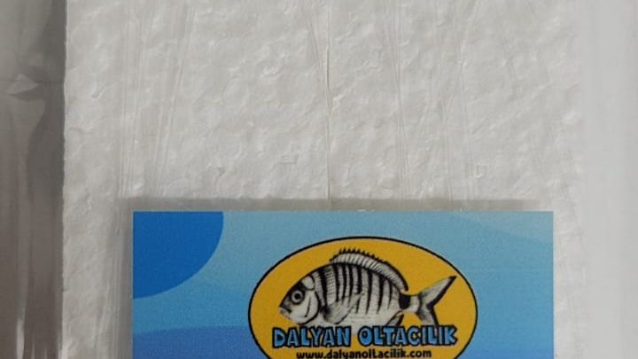 profesyonel çapari, çapari av takımı, istavrit çapari yapımı, istavrit çapari ölçüleri, istavrit çapari iğne numaraları, istavrit çapari tüy renkleri,
