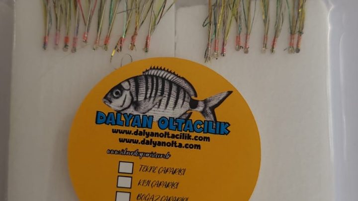 karides floş çapari, 10 iğneli çapari, uv etkili çapari, istavrit çapari, karides rengi çapari, moraran simli çapari, Dalyan Oltaçılık çapari, çapari çeşitleri, el yapımı çapari, kıyıdan çapari, tekneden çapari, çapari takımı, çapari satın al, istavrit için çapari, çapari fiyatları, çapari modelleri, çapari üreticisi, çapari online satış, Dalyan oltacılık istavrit, istavrit çapari modelleri, https://istavritcaparisi.com.tr/