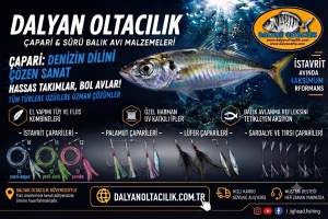 İş Yapan Renkler: Efsanevi İstavrit Avı İçin Çapari Rehberi